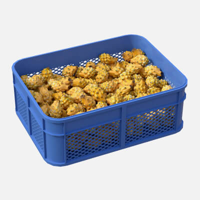 Dragon Fruit Yellow Plastic Crate