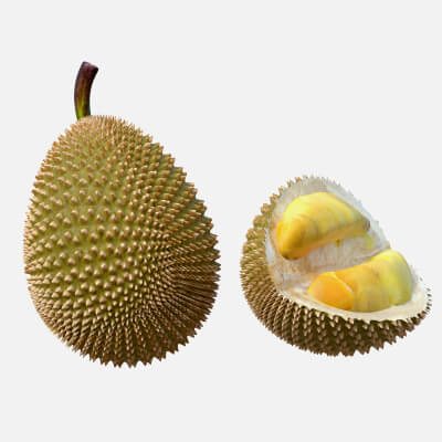 Durian Fruit