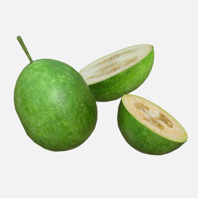 Feijoa Fruit