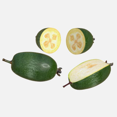 Feijoa v2 Fruit