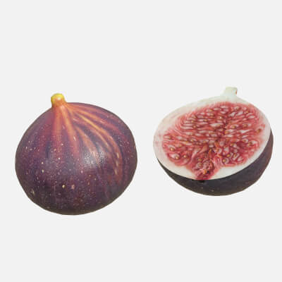 Fig Fruit 3d model