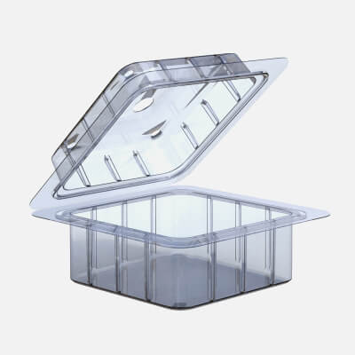 Fruit Box Plastic Transparent
