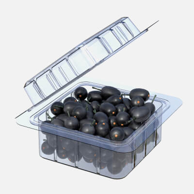 Jambul Fruit Box Plastic Transparent