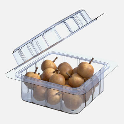 Longan Fruit Box plastic Transparent