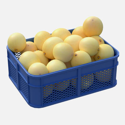 Cantaloupe Melon Plastic Crate