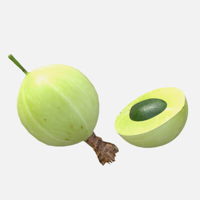 Gooseberry Fruit