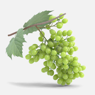 Grapes Green