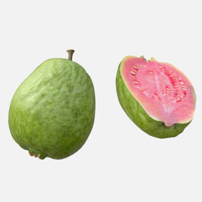 Guava Fruit V2