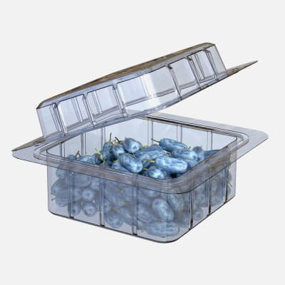 Honeyberry Fruit Box Plastic Transparent