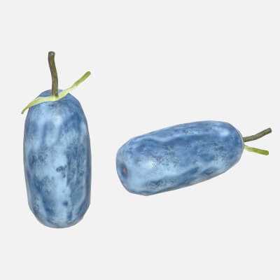 Honeyberry Fruit