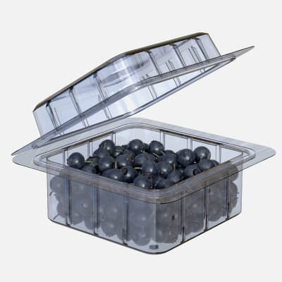 Huckleberry Fruit Box Plastic Transparent
