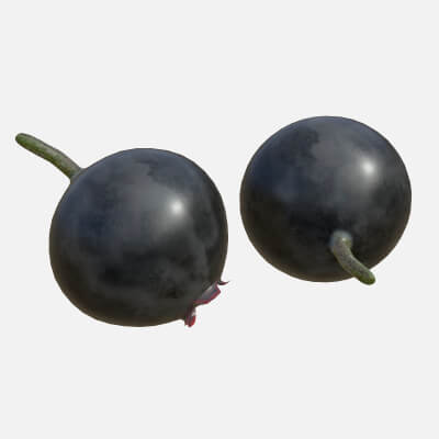 Huckleberry Fruit