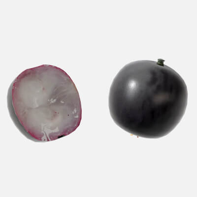 Jaboticaba Fruit