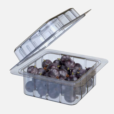 Jostaberry Fruit Box Plastic Transparent