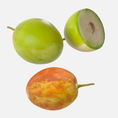 Jujube Fruit