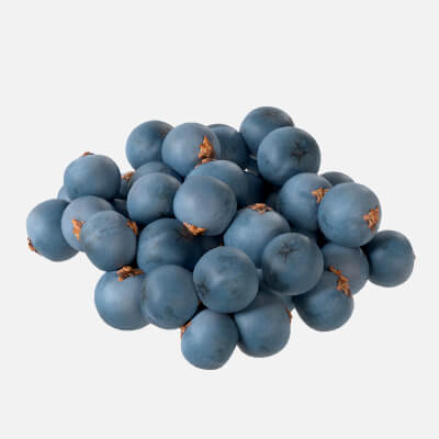 Juniper Berry