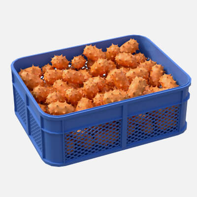 Kiwano Fruit Plastic Crate