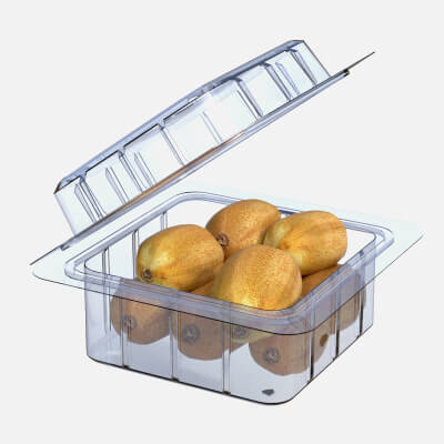 Kiwi Fruit Box Plastic Transparent