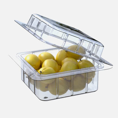 Lemon Fruit Box Plastic Transparent