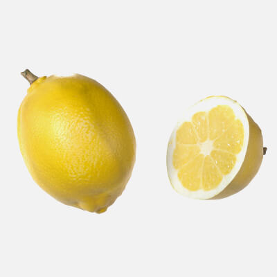 Lemon Fruit 3d model