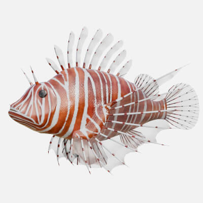 Lionfish Rigged