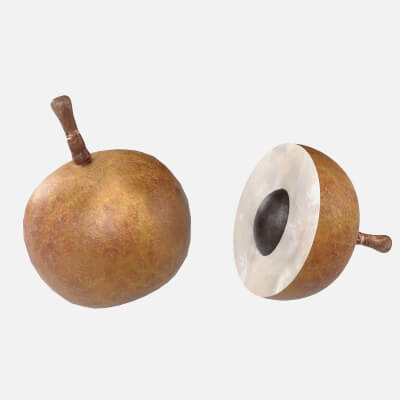 Longan Fruit