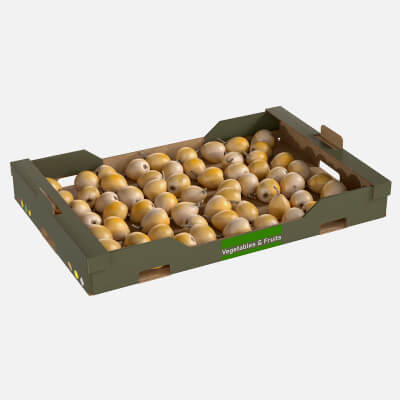 Loquat Cardboard Fruit Box