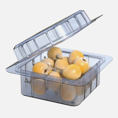 Loquat Fruit Box Plastic Transparent