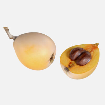 Loquat Fruit