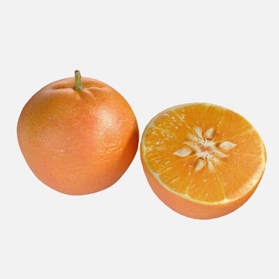 Mandarin 3D Model