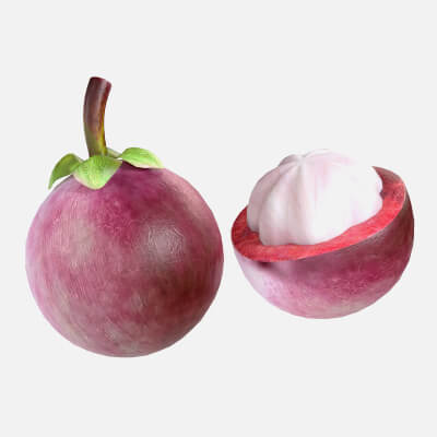 Mangosteen Fruit