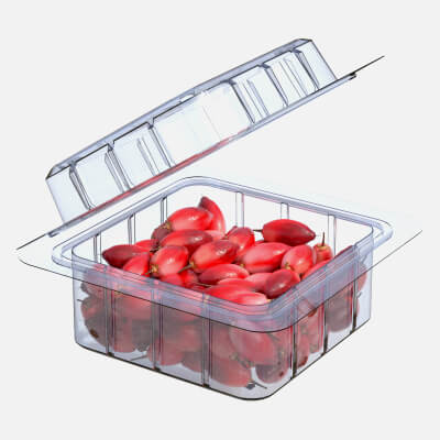 Miracle Fruit Fruit Box Plastic Transparent