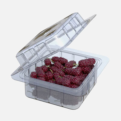 Mulberry Fruit Box Plastic Transparent