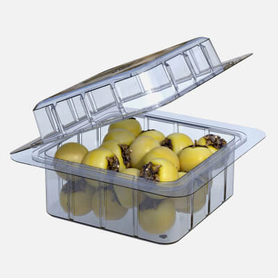 Nance Fruit Box Plastic Transparent