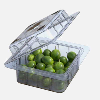 Olive Fruit Box Plastic Transparent