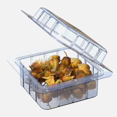 Physalis Fruit Box Plastic Transparent