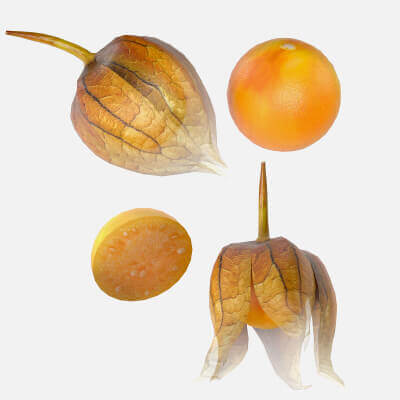 Physalis Fruit