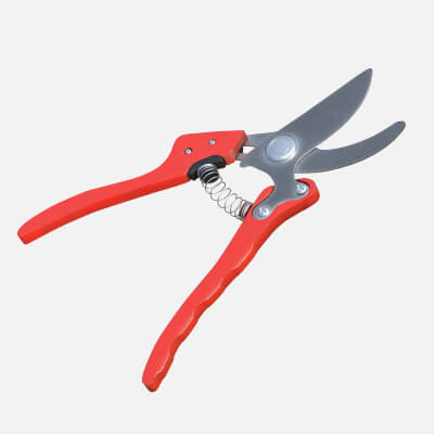 Pruning Shears