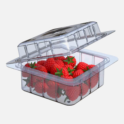 Raspberry Fruit Box Plastic Transparent