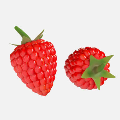 Raspberry Fruit