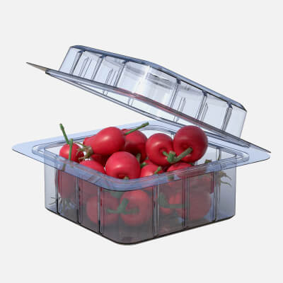Rosehip Fruit Box Plastic Transparent