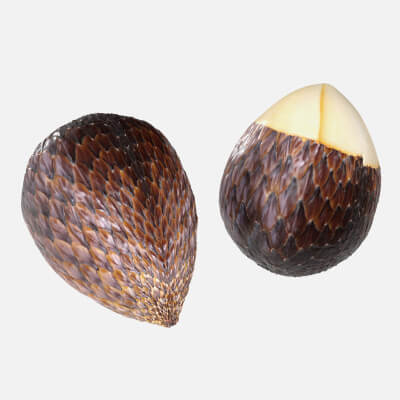 Salak Fruit 3d model