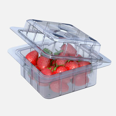 Strawberry Fruit Box Plastic Transparent