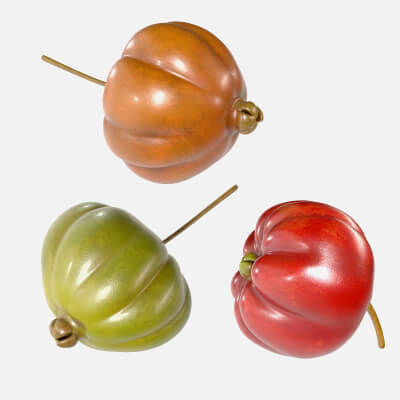 Surinam Cherry