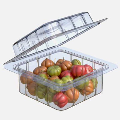 Surinam Cherry Fruit Box Plastic Transparent