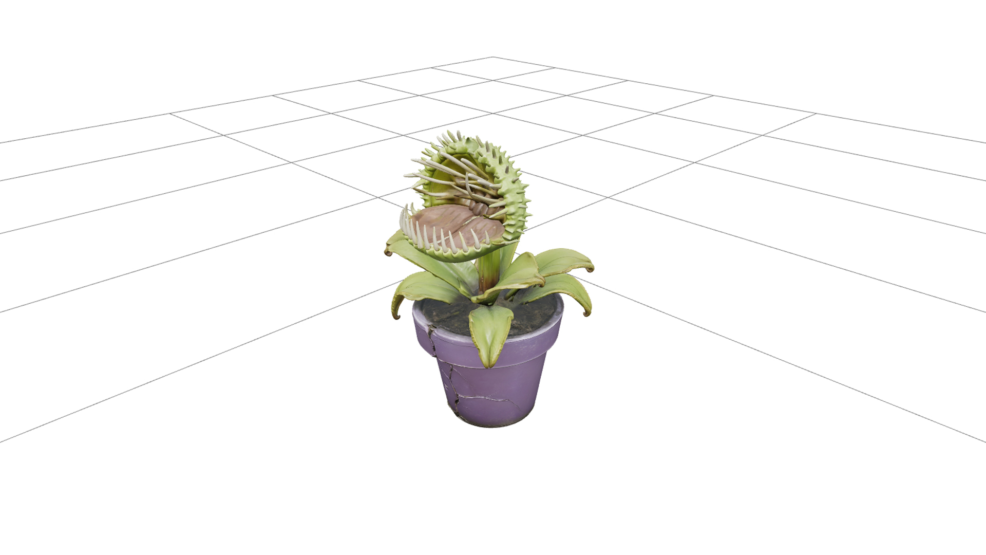 Carnivorous Plant with Ivory Teeth and Purple Pot 3D Model 3D Model