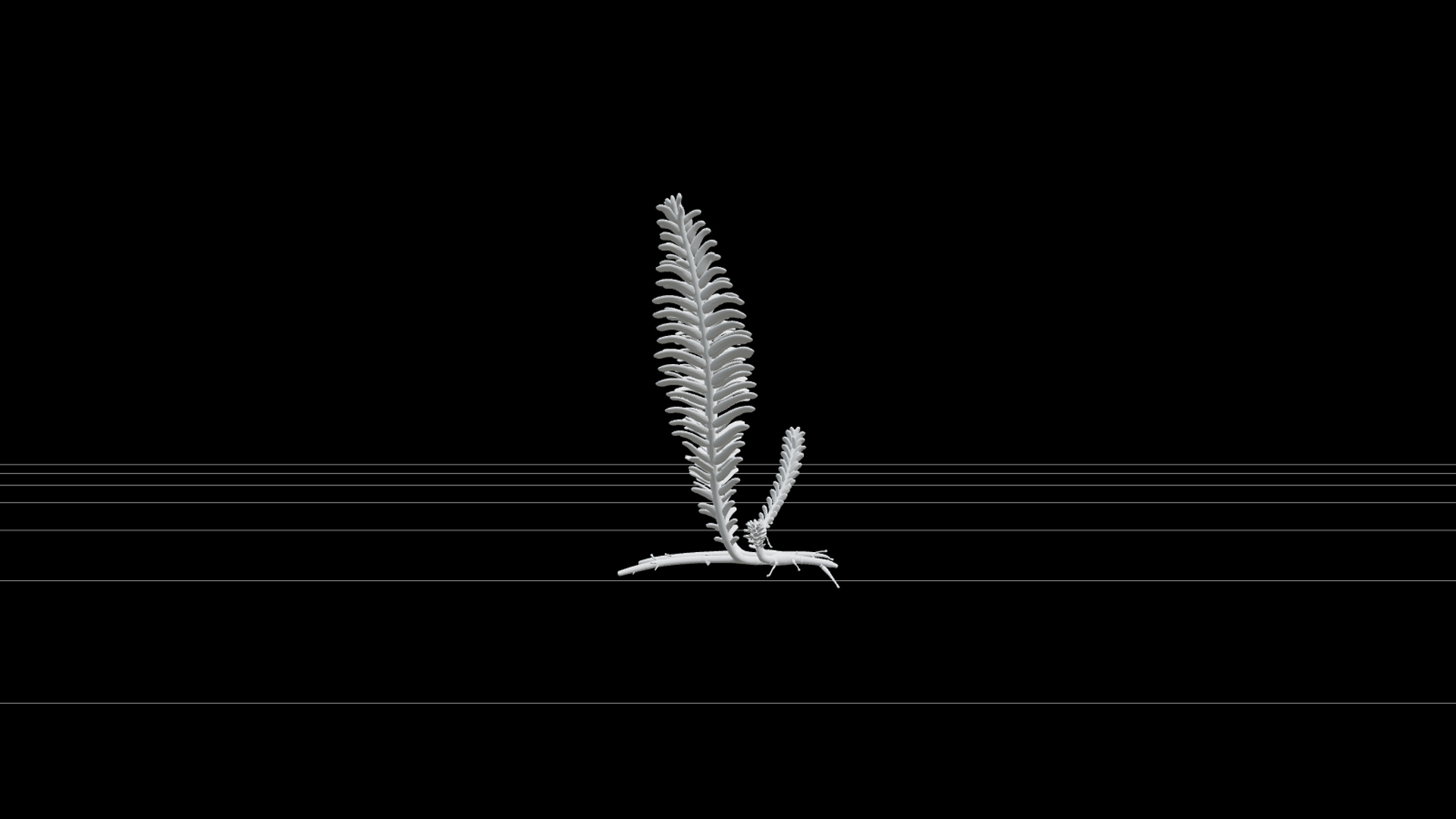Caulerpa Taxifolia Green Feather Alga Model Single Specimen 3D Model