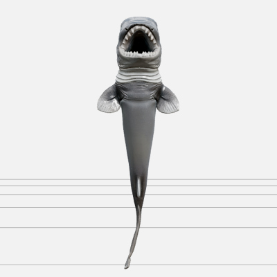 Cookiecutter Shark Mouth Detail Model Realistic High Poly