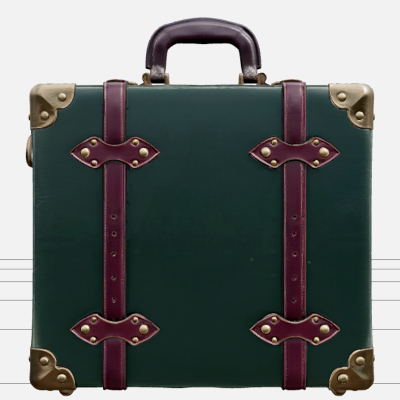 Gothic Carriage Suitcase with Green Leather and Brass 3D Mod