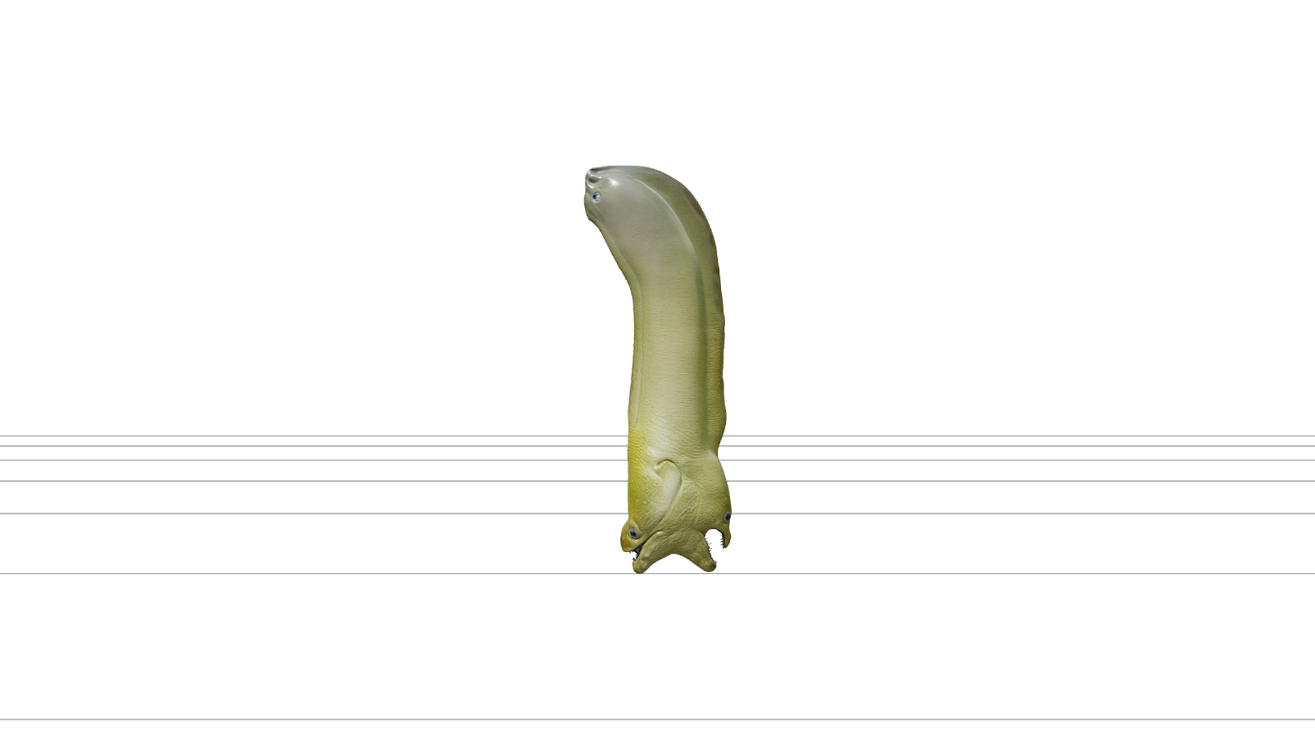 Green Moray Eel Realistic High-Detail Model Texture 3D Model